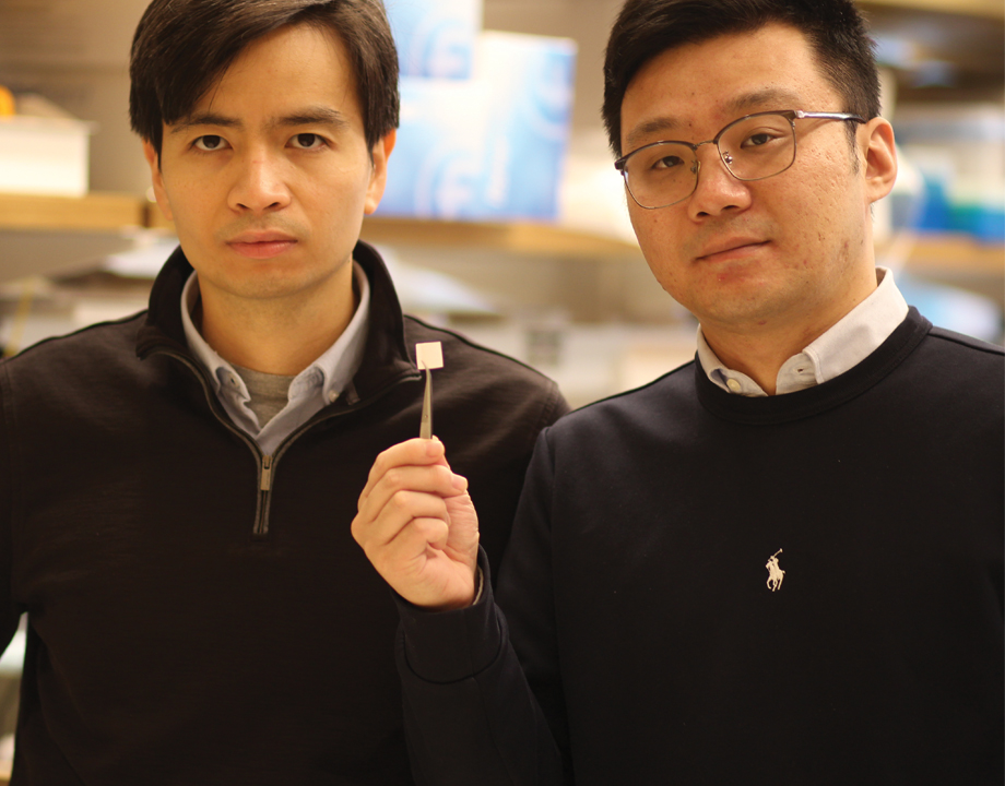 Thanh D. Nguyen and Yang Liu with chip photo