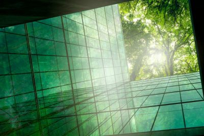 green photo with windows and sun